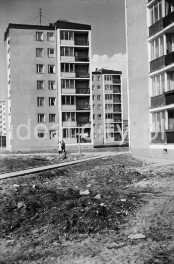 Modernistyczne budynki mieszkalne (projektowane po 1956 roku) na osiedlu D-3 (Handlowe), koniec lat 50.

fot. Henryk Makarewicz/idealcity.pl
