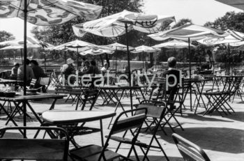 Restauracja 