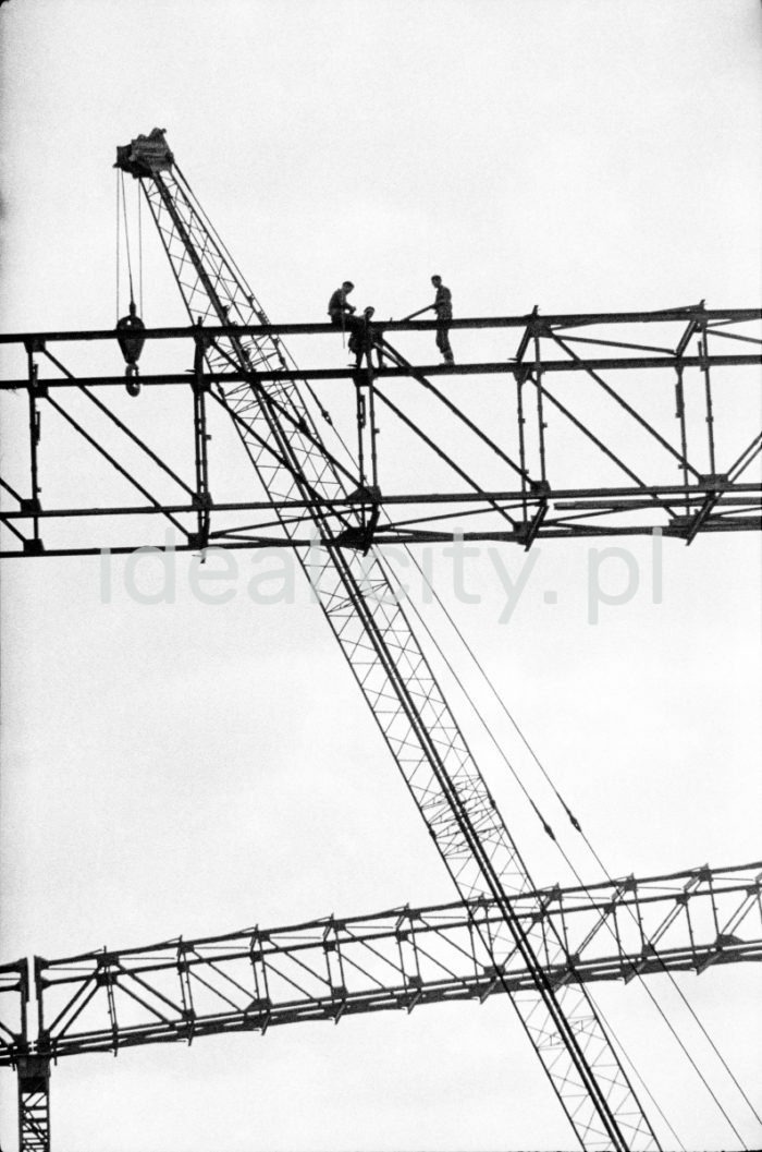 Lenin Metallurgical Combine, working at height – construction of the conveyor system. 1960s.

Kombinat metalurgiczny im. Lenina, prace na wysokości – montaż konstrukcji taśmociągów, lata 60.

Photo by Henryk Makarewicz/idealcity.pl



