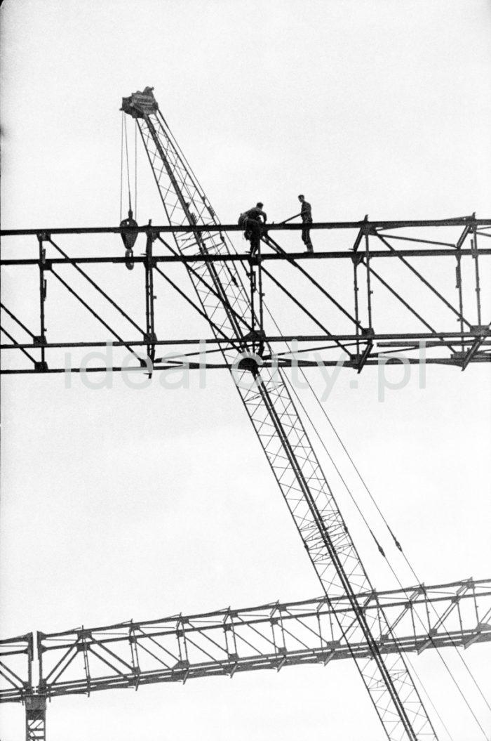 Lenin Metallurgical Combine, working at height – construction of the conveyor system. 1960s.

Kombinat metalurgiczny im. Lenina, prace na wysokości – montaż konstrukcji taśmociągów, lata 60.

Photo by Henryk Makarewicz/idealcity.pl



