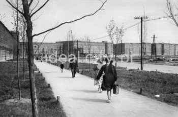 Widok od strony Osiedla Górali, w kierunku Osiedla Szkolnego. Lata 50. XXw.

fot. Henryk Makarewicz/idealcity.pl


