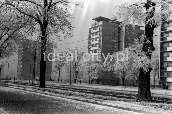 Tower blocks on the Kolorowe Estate. 1960s.

Wysokościowce na Osiedlu Kolorowym. Lata 60. XX w.

Photo by Henryk Makarewicz/idealcity.pl


