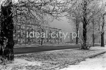 Blok mieszkalny na Osiedlu Handlowym.

fot. Henryk Makarewicz/idealcity.pl



