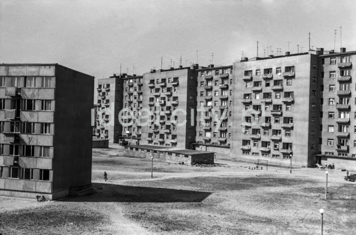 Buildings on the Centrum D Estate. 1960s.

Zabudowa Osiedla Centrum D. Lata 60. XX w.

Photo by Henryk Makarewicz/idealcity.pl


