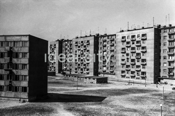 Buildings on the Centrum D Estate. 1960s.

Zabudowa Osiedla Centrum D. Lata 60. XX w.

Photo by Henryk Makarewicz/idealcity.pl


