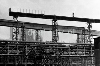 Lenin Metallurgical Combine, steel construction, gas pipelines and installations at the steelworks. 1960s.

Kombinat metalurgiczny im. Lenina, fragmenty konstrukcji stalowych i gazociągów oraz instalacji na terenie huty, lata 60.

Photo by Henryk Makarewicz/idealcity.pl



