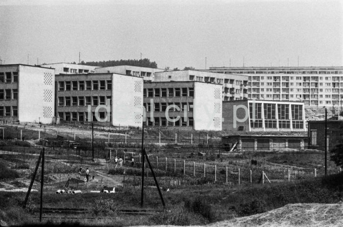 Primary School No. 98 on the Krzesławickie Hills. 1960s.

Szkoła Podstawowa Nr 98 na Wzgórzach Krzesławickich. Lata 60. XX w.

Photo by Henryk Makarewicz/idealcity.pl


