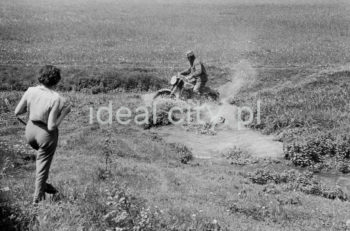 Motocross training in Nowa Huta Meadows. 1950s.

Trening motocrossowy na Łąkach Nowohuckich. Lata 50. XX w.

Photo by Wiktor Pental/idealcity.pl

