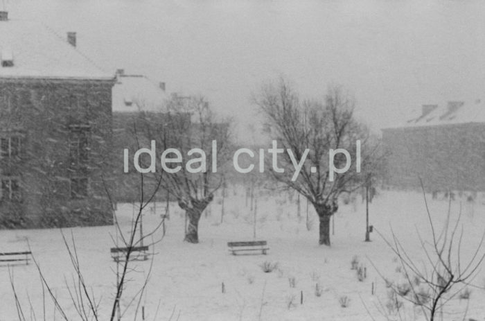 Zima na Osiedlu Wandy - widok z okna Wiktora Pentala. Koniec lat 50. XXw.

fot. Wiktor Pental/idealcity.pl
