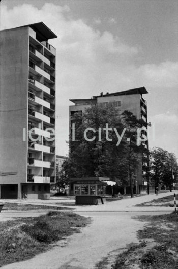 High-rise buildings on the Kolorowe Estate.

Wysokościowce na Osiedlu Kolorowym.