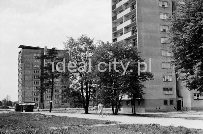 High-rise buildings on the Kolorowe Estate.

Wysokościowce na Osiedlu Kolorowym.