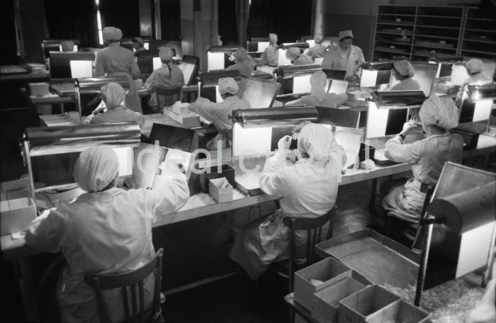 Production hall at the Polfa Pharmaceutical Company in Kraków. 1960s.

Hala produkcyjna Krakowskich Zakładów Farmaceutycznych 