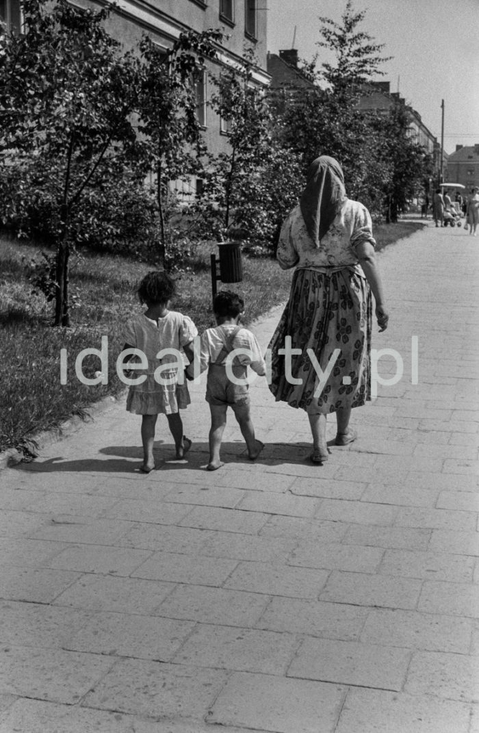 Romka z dziećmi na nowohuckiej ulicy, ok. 1953r., po lewej zabudowa Osiedla Wandy.

fot. Wiktor Pental/idealcity.pl
