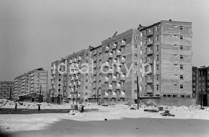 Urocze Estate. Second half of the 1950s.

Zabudowa Osiedla Uroczego. Druga połowa lat 50. XX w.

Photo by Henryk Makarewicz/idealcity.pl

