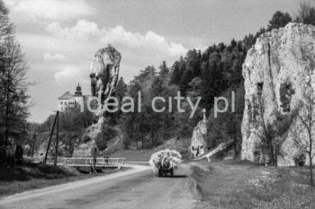 Dolina Ojcowska, na pierwszym planie Maczuga Herkulesa, w tle Zamek w Pieskowej Skale, lata 50. XXw.

fot. Henryk Makarewicz/idealcity.pl

