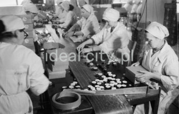 Production hall at the Polfa Pharmaceutical Company in Kraków. 1960s.

Hala produkcyjna Krakowskich Zakładów Farmaceutycznych 