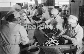 Production hall at the Polfa Pharmaceutical Company in Kraków. 1960s.

Hala produkcyjna Krakowskich Zakładów Farmaceutycznych 