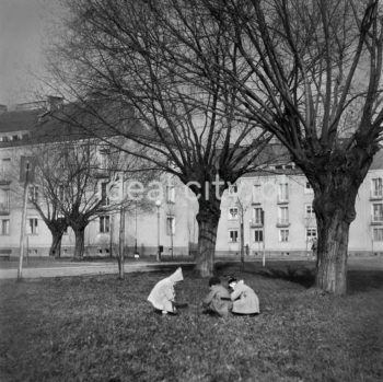 Wandy Estate. 1950s.

Osiedle Wandy, lata 50. XX w.

Photo by Henryk Makarewicz/idealcity.pl