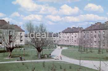 Osiedle Wandy, widok z okna mieszkania Wiktora Pentala. Koniec lat 50. XXw. Fotografia barwna.

fot. Wiktor Pental/idealcity.pl

