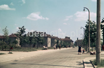 Po lewej Osiedle Willowe, po prawej Osiedle Wandy. Ulica Stanisława Mierzwy, wcześniej Władysława Hubnera (1949-1960)
Komunistycznej Partii Polskiej (1960-1991).
Fotografia barwna.

fot. Wiktor Pental/idealcity.pl
