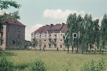 Zabudowa Osiedla Wandy. Lata 50. XXw. Fotografia barwna.

fot. Wiktor Pental/idealcity.pl
