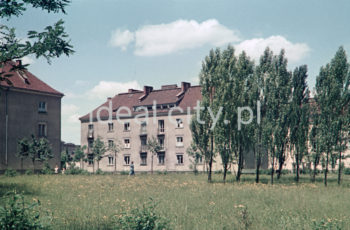Zabudowa Osiedla Wandy. Lata 50. XXw. Fotografia barwna.

fot. Wiktor Pental/idealcity.pl

