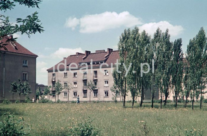Wandy Estate. 1950s. Colour photography.

Zabudowa Osiedla Wandy. Lata 50. XX w. Fotografia barwna.

Photo by Wiktor Pental/idealcity.pl

