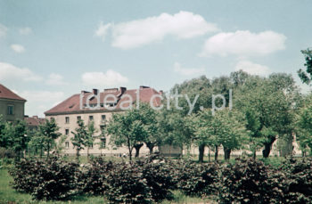 Zabudowa Osiedla Wandy. Lata 50. XXw. Fotografia barwna.

fot. Wiktor Pental/idealcity.pl

