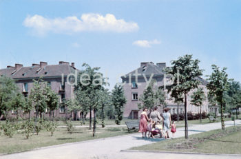 Wandy Estate, late 1950s. Right: Wandy Estate, corner building at the intersection of Gustawa Daniłowskiego Street and Jana Pawła II Alley (John Paul II Alley, previously Aleja Lenina – Lenin Alley, 1949-58, Igołomska Street – 1958-75) and Rewolucji Kubańskiej Street – Cuban Revolution Street, 1975-91). 1950s. Colour photography.

Osiedle Wandy, koniec lat 50. XX. Po prawej Osiedle Wandy, blok narożny u zbiegu ulic Gustawa Daniłowskiego i alei Jana Pawła II (wcześniej Lenina (aleja) (1949-1958), Igołomska (1958-1975), Rewolucji Kubańskiej (1975-1991). Lata 50. XX w.
Fotografia barwna.

Photo by Wiktor Pental/idealcity.pl
