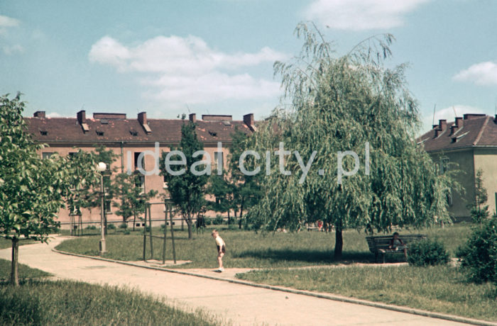 Wandy Estate. Late 1950s. Colour photography.

Osiedle Wandy, koniec lat 50. XX w. Fotografia barwna.

Photo by Wiktor Pental/idealcity.pl
