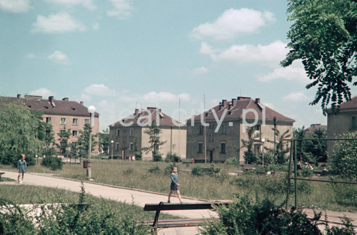 Wandy Estate. 1950s. Colour photography.

Zabudowa Osiedla Wandy. Lata 50. XX w. Fotografia barwna.

Photo by Wiktor Pental/idealcity.pl
