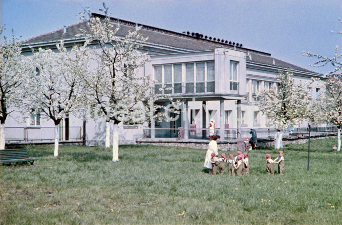 Nursery on the Willowe Estate. Colour photography. 1950s.

W żłobku na Osiedlu Willowym. Fotografia barwna. Lata 50. XX w.

Photo by Wiktor Pental/idealcity.pl


