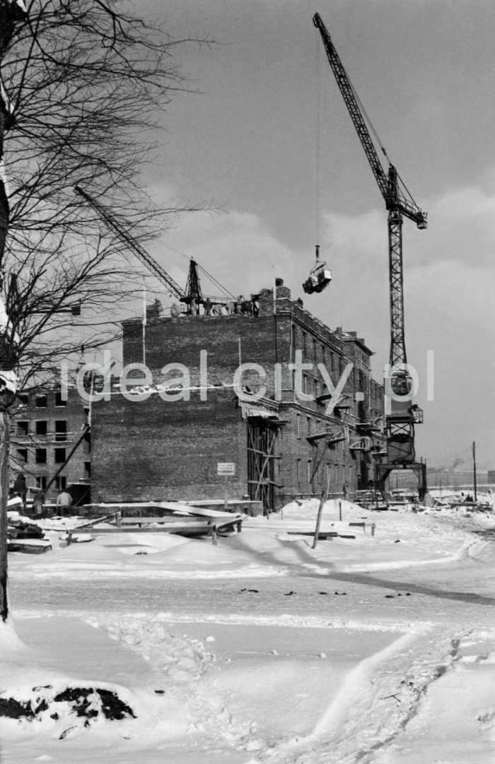 Construction site in Nowa Huta. 1950s.

Budowa jednego z nowohuckich osiedli. Lata 50. XX w.

Photo by Wiktor Pental/idealcity.pl

