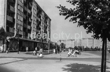 Osiedle B-32 (Szklane Domy) z modernistycznym blokiem szwedzkim, widok w kierunku osiedla A-33 (Hutniczego). Blok zaprojektowali Janusz i Marta Ingarden w 1956 roku, budowany w latach 1957-1959. Przy jego budowie nie używano cegieł, ale betonu komórkowego (na licencji szwedzkiej) Siporex. Pozwoliło to na zbudowanie loggii, gęsto ułożonych okien oraz balkonów. Do ozdobienia elewacji użyto kolorowych tynków, co wówczas należało do rzadkości. W długim na 260 metrów bloku wybudowano 272 nowoczesne i funkcjonalne mieszkania, na dole zaś umieszczono punktu usługowe (sklep motoryzacyjny, pasmanterię, drogerie i sklep nasienno-warzywniczy). Projektantami wnętrz byli Irena Pać-Zaleśna, Zdzisław Szpyrkowski i Kazimierz Syrek. Przełom lat 50 i 60., lub początek lat 60.

fot. Henryk Makarewicz/idealcity.pl

