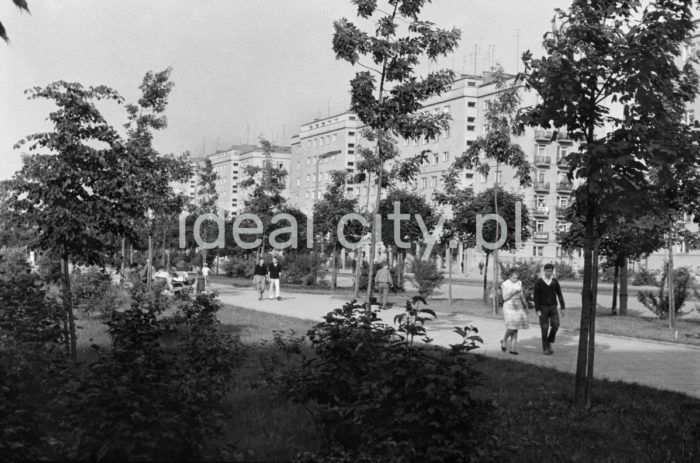 Park Szwedzki, po prawej Osiedle Hutnicze. Druga połowa lat 50. XXw.

fot. Henryk Makarewicz/idealcity.pl

