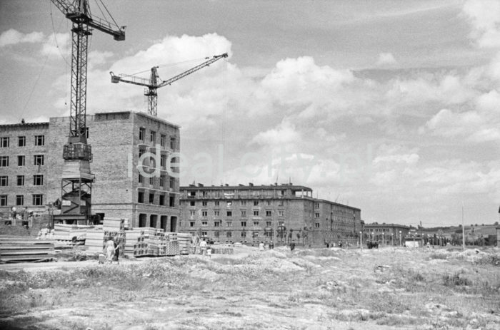 View from the B-33 (Słoneczne) Estate towards a residential building (left) on the C-33 (Urocze) Estate and buildings on the C-2 Południe (Górali) Estate, from Aleja Róż. 1950s.

Widok od strony osiedla B-33 (Słoneczne) w kierunku budowanego bloku mieszkalnego (po lewej stronie) na osiedlu C-33 (Urocze) oraz zabudowy osiedla C-2 Południe (Górali), od strony alei Róż, lata 50.

Photo by Wiktor Pental/idealcity.pl