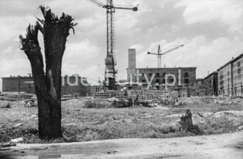 Budowa Osiedla Uroczego, lata 50. XXw.

fot. Wiktor Pental/idealcity.pl
