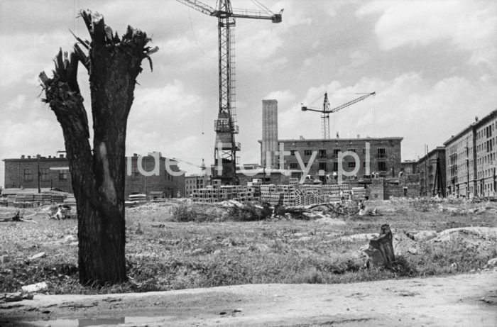 Construction of the Urocze Estate. 1950s.

Budowa Osiedla Uroczego, lata 50. XX w.

Photo by Wiktor Pental/idealcity.pl
