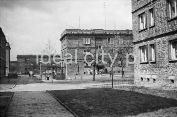 Górali Estate. 1950s.

Osiedle Górali, lata 50. XX w.

Photo by Wiktor Pental/idealcity.pl



