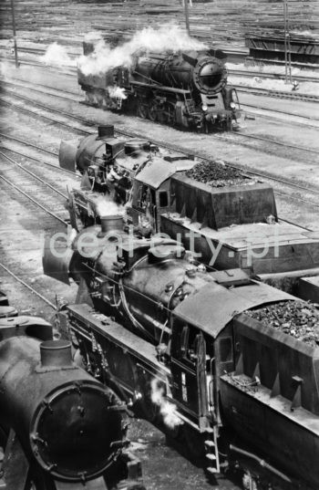 Parowozy na terenie Parowozowni Huty im. Lenina, przełom lat 50. i 60.
Podstawowym środkiem przewozu w Hucie im. Lenina był transport kolejowy. Do 1970 roku zajmowały się tym cztery wydziały przewozowe, w skład których wchodziły służby przewozowo-wagonowe oraz służby trakcyjne. Wewnątrz kombinatu znajdowało się kilkanaście stacji kolejowych, przez które odbywał się przepływ ładunków i wagonów kolejowych. Pierwsza Parowozownia dla 40 parowozów powstała w 1952 roku. Początkowo materiały na budowę były wożone linią kocmyrzowską. Na północ od stacji Czyżyny wybudowano nawet wielki plac przeładunkowy z niezbędnymi bocznicami, ale możliwości tej skromnej, lokalnej kolei były niewystarczające. Dla potrzeb przyszłego kombinatu potrzebna była nowa linia, którą wyprowadzono od linii Warszawskiej ze stacji Batowice. Wybudowana w 1952 roku nowa trasa przecinała starą „kocmyrzówkę” (w kierunku na Kocmyrzów), dlatego na linii kocmyrzowskiej dwa wiadukty. Pierwsza surówka z wielkiego pieca Huty im. Lenina popłynęła w 1954 roku. W międzyczasie na terenie kombinatu powstała bardzo gęsta sieć bocznic kolejowych. Nieopodal kombinatu zbudowano ogromną stację zestawczą. Linię prowadzącą do huty przedłużono od stacji Batowice na zachód w kierunku Śląska, a także na południowy wschód, gdzie nowym mostem na Wiśle kolej docierała do stacji Podłęże, na której powstał bezkolizyjny węzeł. Na połączeniu z linią Warszawską zbudowano łącznicę, pozwalającą na bezpośrednią jazdę od strony huty na północ. Tę nową, towarową magistralę, omijającą Kraków od północy, nazwano „dużą obwodnicą”.

fot. Henryk Makarewicz/idealcity.pl


