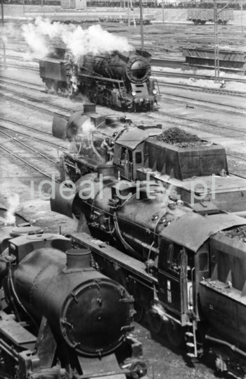 Parowozy na terenie Parowozowni Huty im. Lenina, przełom lat 50. i 60.
Podstawowym środkiem przewozu w Hucie im. Lenina był transport kolejowy. Do 1970 roku zajmowały się tym cztery wydziały przewozowe, w skład których wchodziły służby przewozowo-wagonowe oraz służby trakcyjne. Wewnątrz kombinatu znajdowało się kilkanaście stacji kolejowych, przez które odbywał się przepływ ładunków i wagonów kolejowych. Pierwsza Parowozownia dla 40 parowozów powstała w 1952 roku. Początkowo materiały na budowę były wożone linią kocmyrzowską. Na północ od stacji Czyżyny wybudowano nawet wielki plac przeładunkowy z niezbędnymi bocznicami, ale możliwości tej skromnej, lokalnej kolei były niewystarczające. Dla potrzeb przyszłego kombinatu potrzebna była nowa linia, którą wyprowadzono od linii Warszawskiej ze stacji Batowice. Wybudowana w 1952 roku nowa trasa przecinała starą „kocmyrzówkę” (w kierunku na Kocmyrzów), dlatego na linii kocmyrzowskiej dwa wiadukty. Pierwsza surówka z wielkiego pieca Huty im. Lenina popłynęła w 1954 roku. W międzyczasie na terenie kombinatu powstała bardzo gęsta sieć bocznic kolejowych. Nieopodal kombinatu zbudowano ogromną stację zestawczą. Linię prowadzącą do huty przedłużono od stacji Batowice na zachód w kierunku Śląska, a także na południowy wschód, gdzie nowym mostem na Wiśle kolej docierała do stacji Podłęże, na której powstał bezkolizyjny węzeł. Na połączeniu z linią Warszawską zbudowano łącznicę, pozwalającą na bezpośrednią jazdę od strony huty na północ. Tę nową, towarową magistralę, omijającą Kraków od północy, nazwano „dużą obwodnicą”.

fot. Henryk Makarewicz/idealcity.pl

