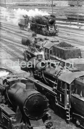 Parowozy na terenie Parowozowni Huty im. Lenina, przełom lat 50. i 60.
Podstawowym środkiem przewozu w Hucie im. Lenina był transport kolejowy. Do 1970 roku zajmowały się tym cztery wydziały przewozowe, w skład których wchodziły służby przewozowo-wagonowe oraz służby trakcyjne. Wewnątrz kombinatu znajdowało się kilkanaście stacji kolejowych, przez które odbywał się przepływ ładunków i wagonów kolejowych. Pierwsza Parowozownia dla 40 parowozów powstała w 1952 roku. Początkowo materiały na budowę były wożone linią kocmyrzowską. Na północ od stacji Czyżyny wybudowano nawet wielki plac przeładunkowy z niezbędnymi bocznicami, ale możliwości tej skromnej, lokalnej kolei były niewystarczające. Dla potrzeb przyszłego kombinatu potrzebna była nowa linia, którą wyprowadzono od linii Warszawskiej ze stacji Batowice. Wybudowana w 1952 roku nowa trasa przecinała starą „kocmyrzówkę” (w kierunku na Kocmyrzów), dlatego na linii kocmyrzowskiej dwa wiadukty. Pierwsza surówka z wielkiego pieca Huty im. Lenina popłynęła w 1954 roku. W międzyczasie na terenie kombinatu powstała bardzo gęsta sieć bocznic kolejowych. Nieopodal kombinatu zbudowano ogromną stację zestawczą. Linię prowadzącą do huty przedłużono od stacji Batowice na zachód w kierunku Śląska, a także na południowy wschód, gdzie nowym mostem na Wiśle kolej docierała do stacji Podłęże, na której powstał bezkolizyjny węzeł. Na połączeniu z linią Warszawską zbudowano łącznicę, pozwalającą na bezpośrednią jazdę od strony huty na północ. Tę nową, towarową magistralę, omijającą Kraków od północy, nazwano „dużą obwodnicą”.

fot. Henryk Makarewicz/idealcity.pl


