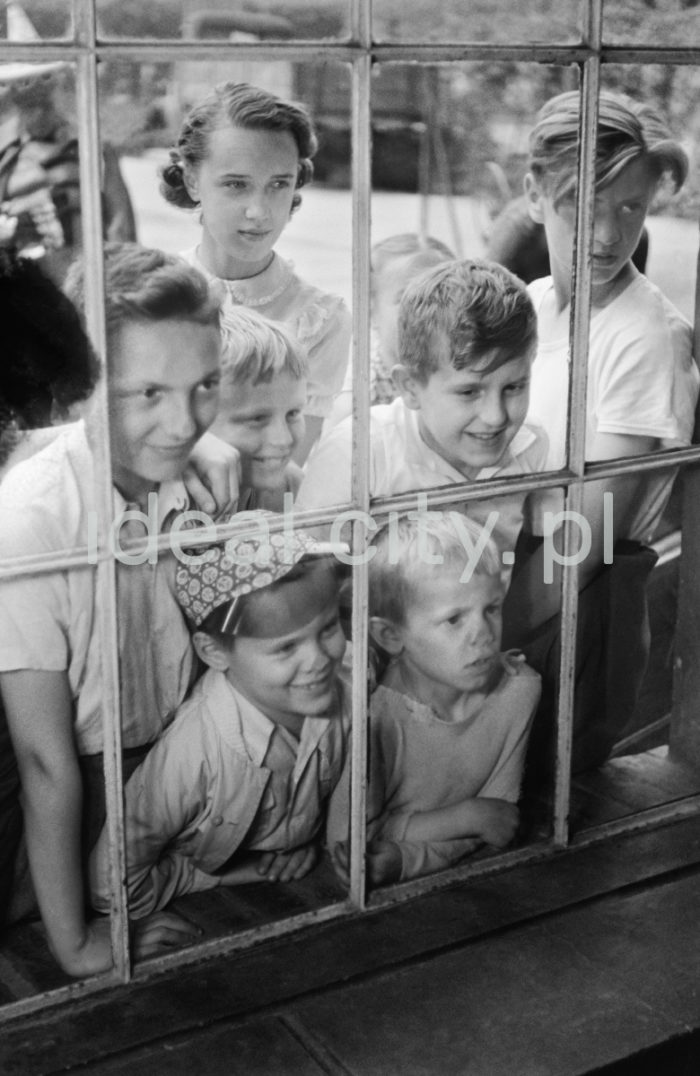 Dzieci obserwują Lajkonika przygotowującego się do corocznego pochodu. Koniec lat 60. XXw.

fot. Henryk Makarewicz/idealcity.pl

