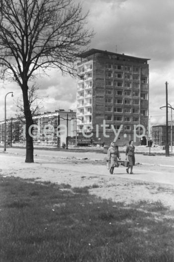 Construction site of a high-rise on the D-31 (Centrum D) Estate. The ten-storey block (built after 1957) with the Ciastkarnia Bambo pavilion housing services and shops, nicknamed “helicopter,” was erected in the post-thaw period on the D-31 (Centrum D) Estate, following the design by Kazimierz Chodorowski and Stefan Golonka. Second half of the 1950s.

Budowa wysokościowca na osiedlu D-31 (Centrum D). Dziesięciopiętrowy punktowiec (wybudowany po 1957 roku) z pawilonem handlowo-usługowy „Ciastkarnią Bambo” , tzw. helikopter zbudowany w okresie poodwilżowym na osiedlu D-31 (Centrum D) wg. Proj. architektów Kazimierza Chodorowskiego i Stefana Golonki, II poł. l. 50. XX w.

Photo by Henryk Makarewicz/idealcity.pl
