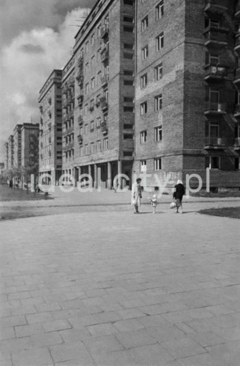 Zabudowa osiedla B-33 (Słoneczne) i C-33 (Urocze) wzdłuż obecnej ul. Rydza-Śmigłego, l.50.XX w.

fot. Henryk Makarewicz/idealcity.pl
