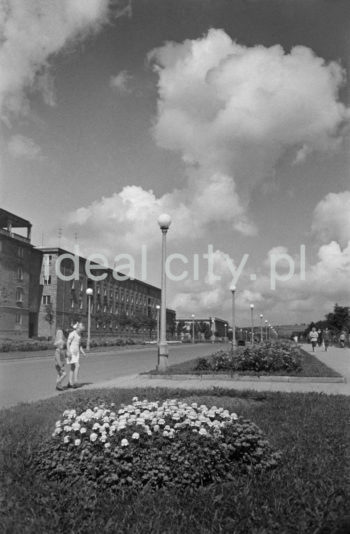 Aleja Róż, widok w kierunku północnym, widoczne zabudowania osiedla C-2 Południe (Górali), l.50.XX w.

fot. Henryk Makarewicz/idealcity.pl
