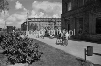 Aleja Róż, widok w kierunku północnym, widoczne zabudowania osiedla B-2 Południe (Zielone), l.50.XX w.

fot. Henryk Makarewicz/idealcity.pl


