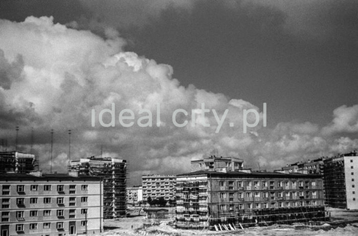 Bloki na Osiedlu Centrum D (D-31). Druga połowa lat 50. XXw.

fot. Henryk Makarewicz/idealcity.pl


