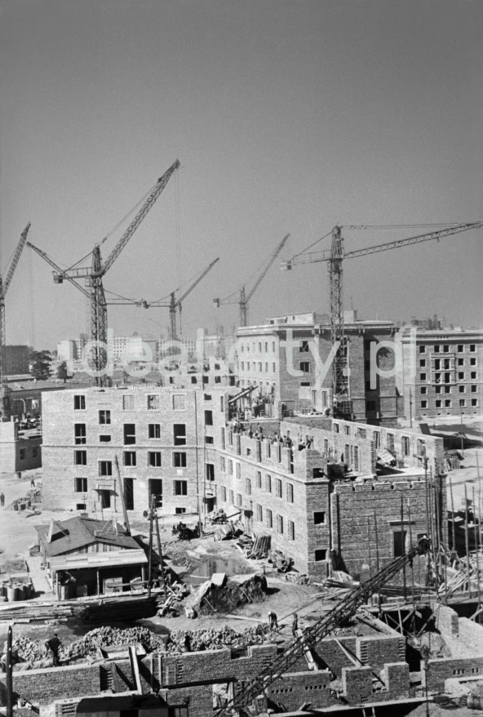 Construction of the Stalowe Estate. Ca. 1954.

Budowa Osiedla Stalowego, ok. 1954 r.

Photo by Wiktor Pental/idealcity.pl


