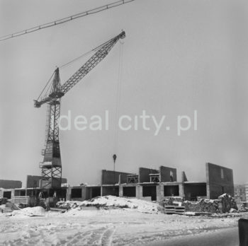 Constructing residential estates. 1950s.

Budowa osiedli mieszkaniowych, lata 50.

Photo by Wiktor Pental/idealcity.pl

